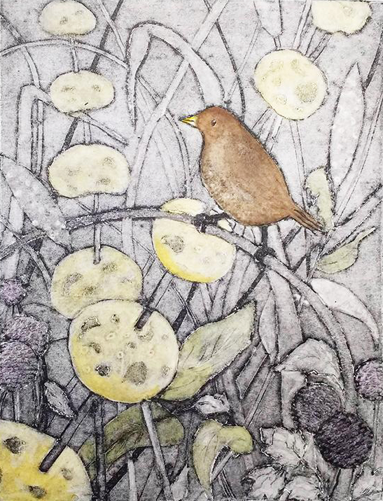 Song Thrush-an original artwork by Pat Rhead-Phillps