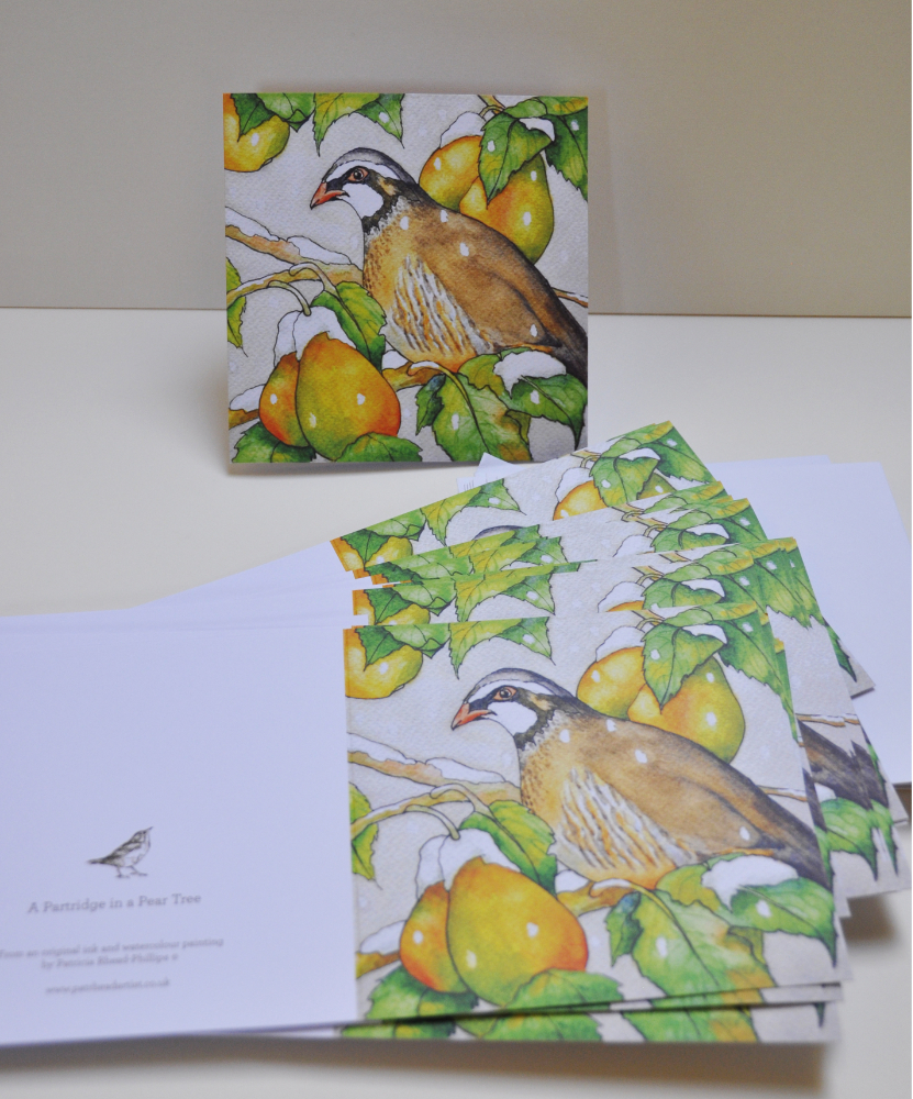 A Partridge in a Pear Tree