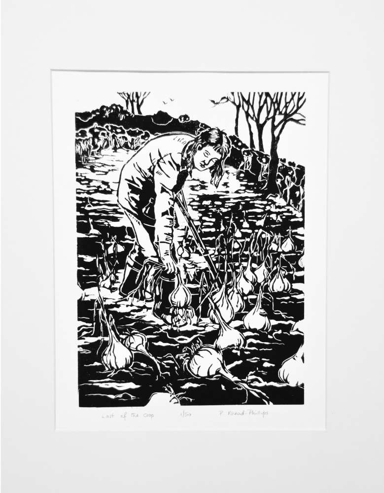 Last of the Crop - original linocut by pat Rhead-Phillips