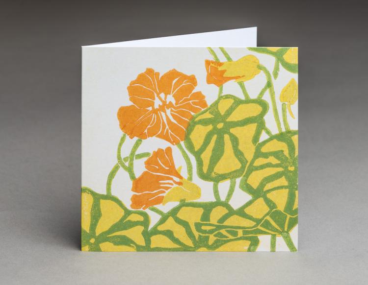 Nasturtium - an original fine art greetings card by Pat Rhead-Phillips