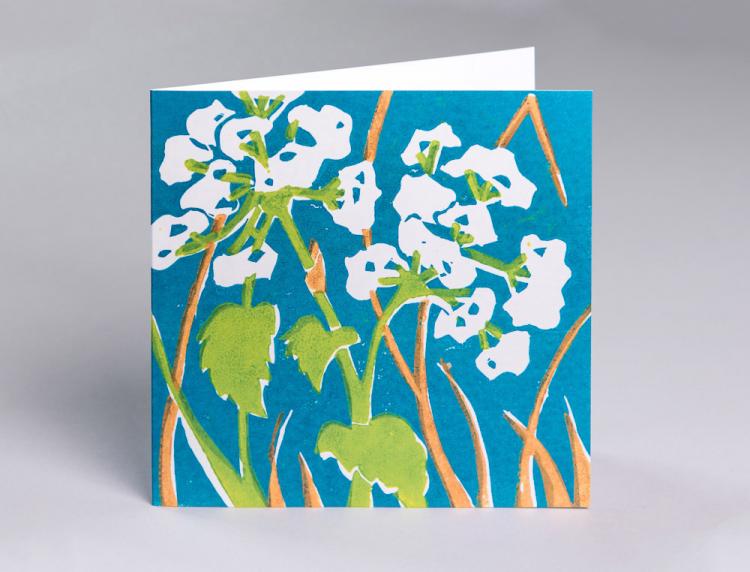 Cow parsley - an original fine art greetings cards by Pat Rhead-Phillips