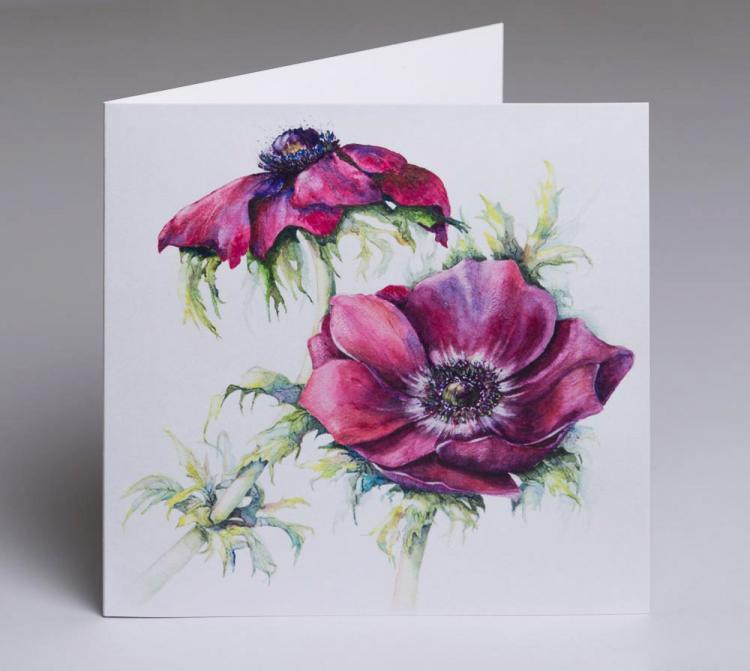 Anemones - an original fine art greetings cards by Pat Rhead-Phillips