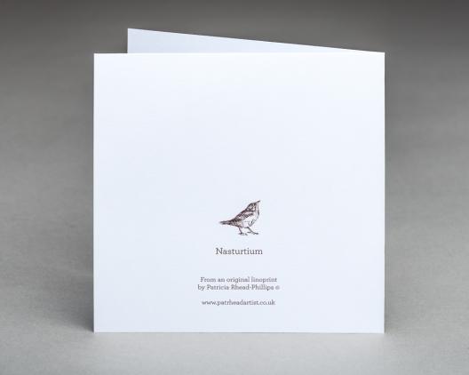 Nasturtium - an original fine art greetings card by Pat Rhead-Phillips