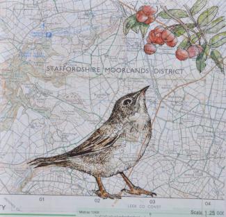 Moorland Bird - an original artwork by Pat Rhead-Phillips