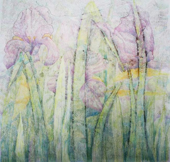 Flag Iris 3 - an original artwork by Pat Rhead-Phillips